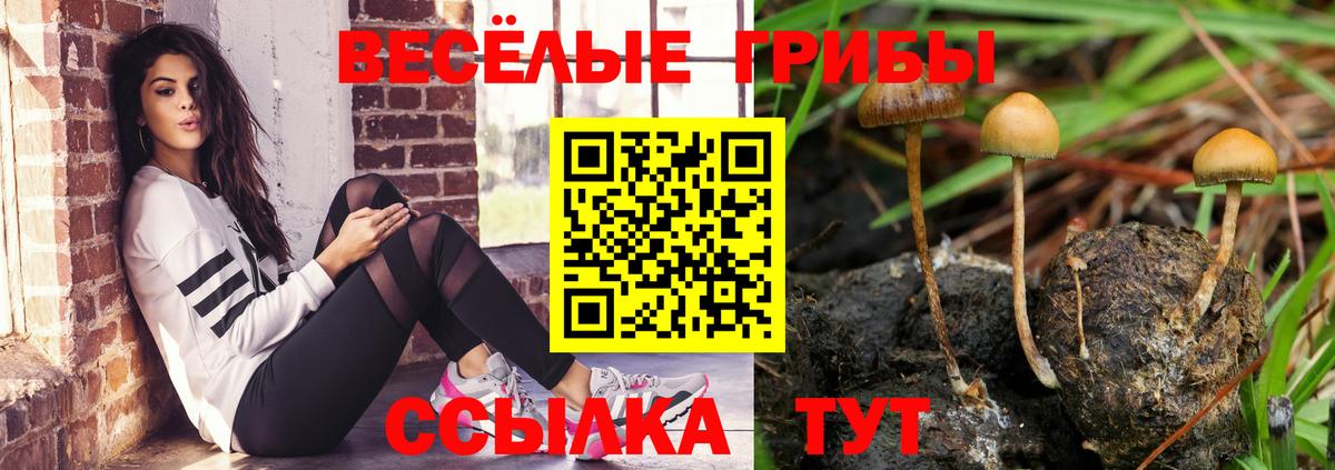 Псилоцибиновые грибы ЛСД Бердск